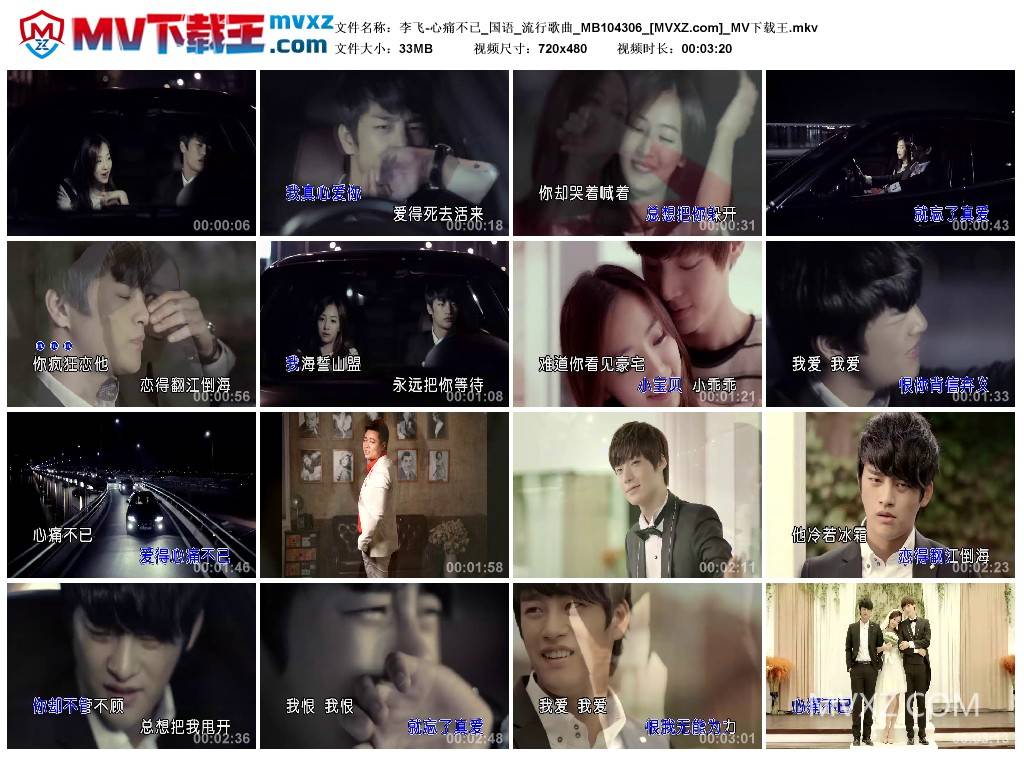 李飞-心痛不已_国语_流行歌曲_MB104306